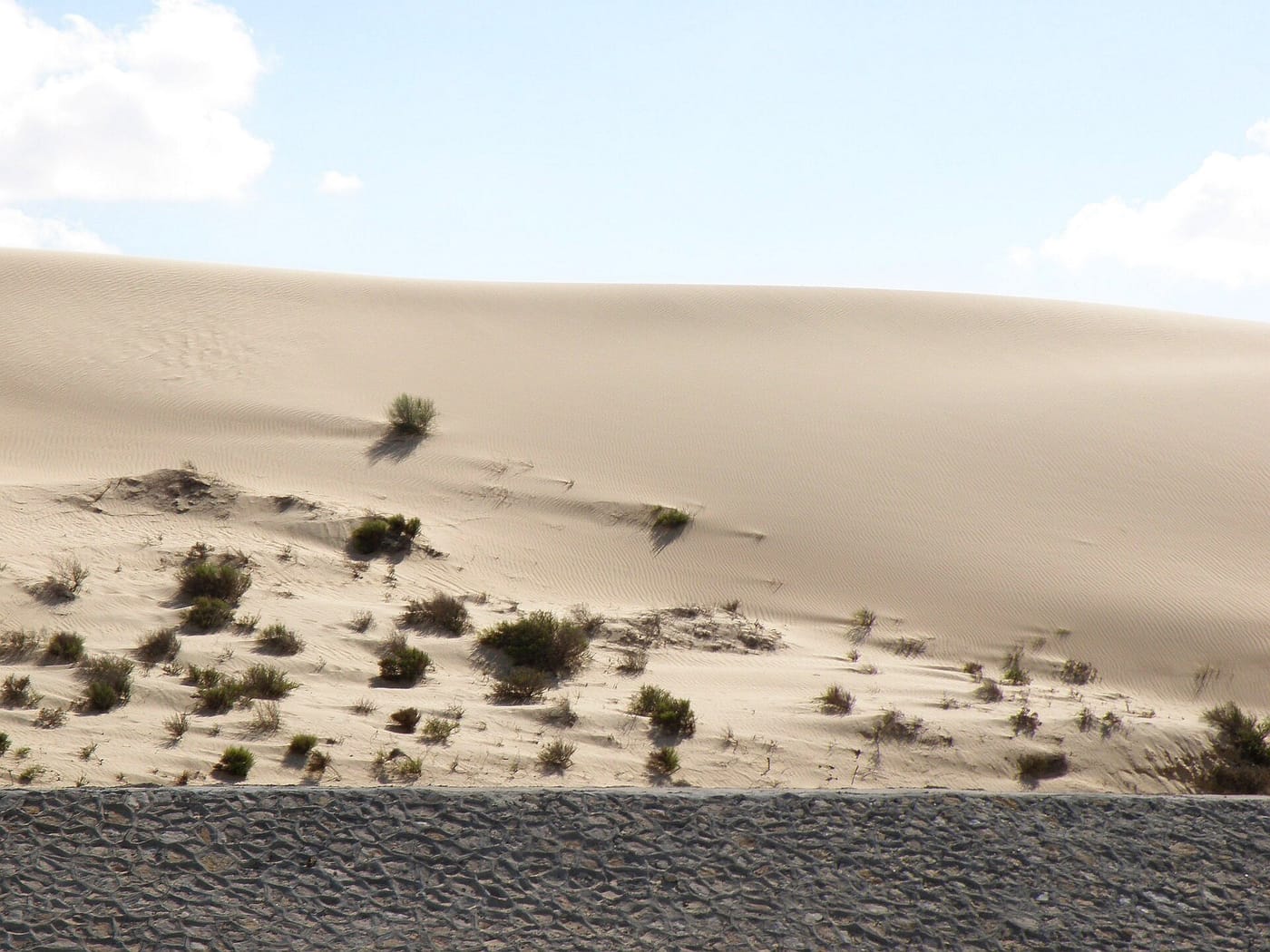 Quad bikes and a desert buggy lined up on golden Sinai dunes at sunset near Sharm El Sheikh